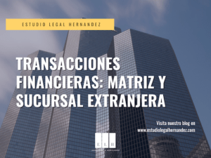 TRANSACCIONES FINANCIERAS MATRIZ Y SUCURSAL EXTRANJERA