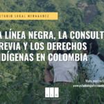 LA LÍNEA NEGRA, LA CONSULTA PREVIA Y LOS DERECHOS INDÍGENAS EN COLOMBIA