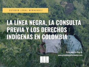 LA LÍNEA NEGRA, LA CONSULTA PREVIA Y LOS DERECHOS INDÍGENAS EN COLOMBIA