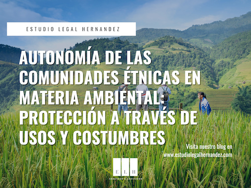 AUTONOMÍA DE LAS COMUNIDADES ÉTNICAS EN MATERIA AMBIENTAL PROTECCIÓN A TRAVÉS DE USOS Y COSTUMBRES